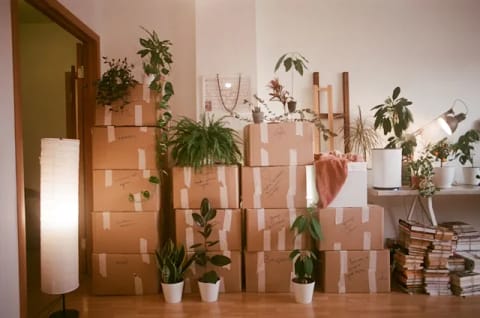 Move In/Out Cleaning
